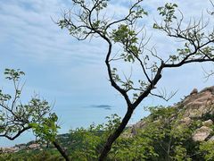 -崂山仰口游览区