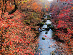 -本溪老边沟风景区