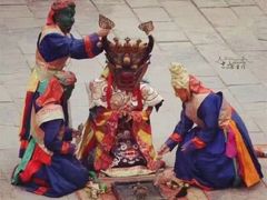 -塔尔寺-菩提树