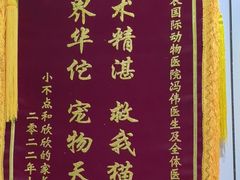 -中农国际动物医院24小时·猫科·骨科·急重症中心