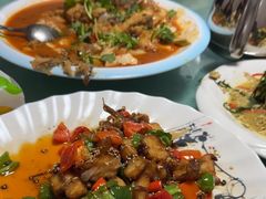-煲来饱去冷水鱼