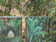 -西双版纳原始森林公园