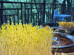 -巴倒烫陆派火锅山庄(南山总店)