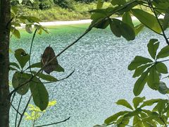 -武陵山森林公园