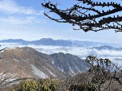 -秦岭风景区