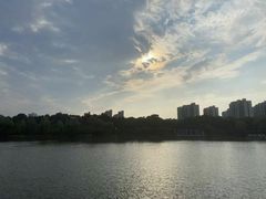 -南汇桃花村