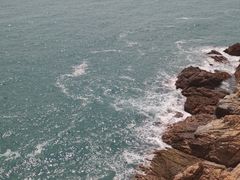 -广东惠东海龟国家级自然保护区
