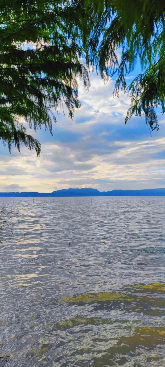 捞鱼河湿地公园-"捞鱼河公园:位于呈贡区环湖南路,应该是直.