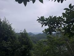 -十里琅珰