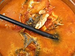 -风鑫铃罗非鱼(道沟店)