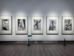 -南京书画院金陵美术馆