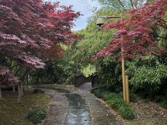-梁鸿国家湿地公园