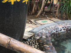 -青岛海泉湾度假区温泉