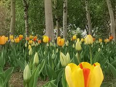 -长春公园(普阳街道)