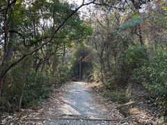 -灵岩山风景区