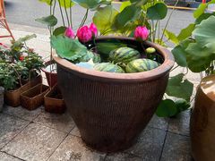 -赵美丽·重庆社区火锅·直营店(火车东站·中豪国际店)