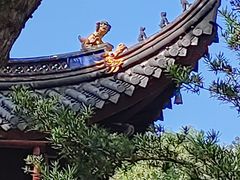 -阿育王寺