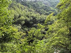 -黄山翡翠谷景区