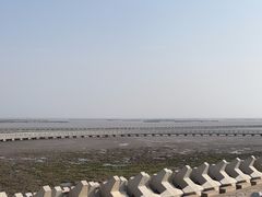 -南汇嘴观海公园