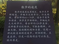 -南国桃园旅游度假区