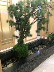 -芳朵美容养生SPA