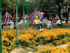 -广东花都香草世界旅游度假区