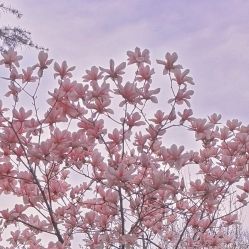 -玄武湖景区-情侣园游乐场