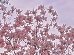 -玄武湖景区-情侣园游乐场