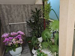 -徽州月·民间徽菜(浦东总店)