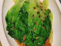 -佬肥猫(周浦万达店)