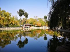 -莲湖公园