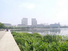 -尚贤河湿地