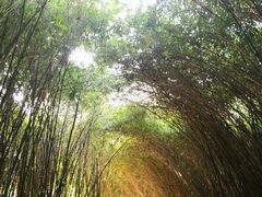 -苏州河梦清园环保主题公园