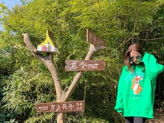 -大罗山风景区