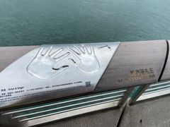 -星光大道