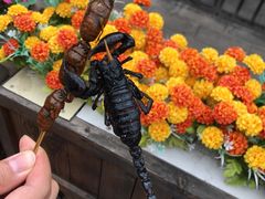 -王府井步行街