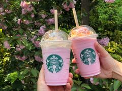 -星巴克(西藏路店)