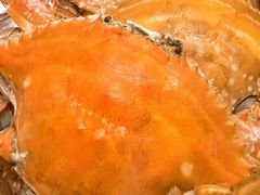 -北塘海鲜·天津菜·鲅鱼水饺是一绝(大光明桥旗舰店)