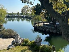 -无锡蠡湖国家湿地公园-蠡园