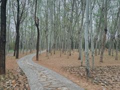 -森林公园(尖草坪区)