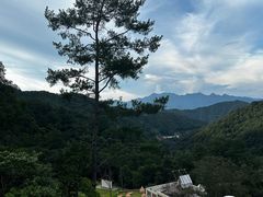 -龙岩森林水乡景区