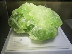 -湖南省地质博物馆