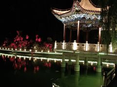 -金城公园
