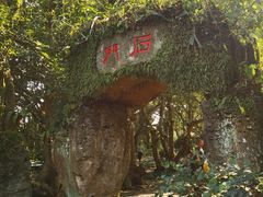 -海口火山口国家地质公园