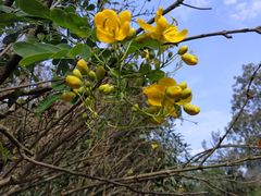 -贵阳市花溪国家城市湿地公园