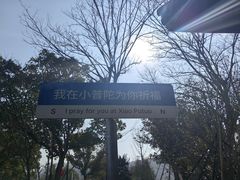 -东钱湖小普陀景区