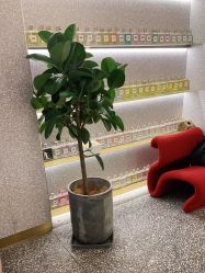 点击看大图 -3AM·S HAIR SALON烫发染发接发