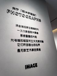 -大树儿童摄影