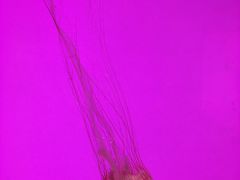 -沈阳海洋探索中心