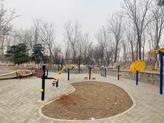 -大兴滨河森林公园